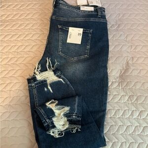 Vervet High Rise Skinny Jeans